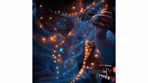 Blog - Endless AI Video Loop of a researcher working on adn hologram. LAB BOOCLE AI